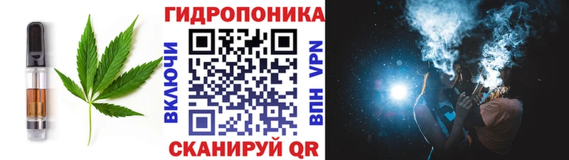 Canna-Cookies марихуана  Купить закладки  Кириллов 
