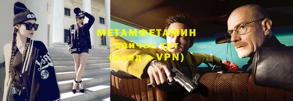 прущие грибы Бронницы