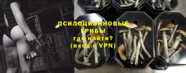 прущие грибы Бронницы