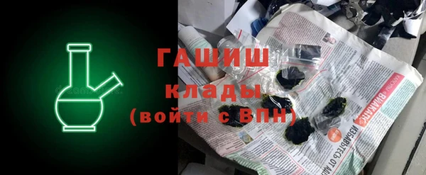 индика Бородино