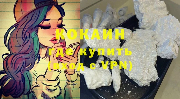 индика Бородино