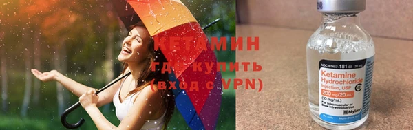 индика Бородино