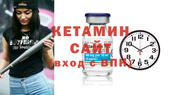индика Бородино