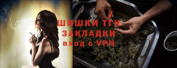 прущие грибы Бронницы