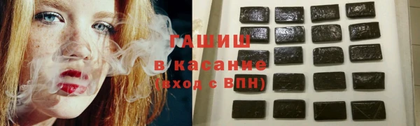 прущие грибы Бронницы