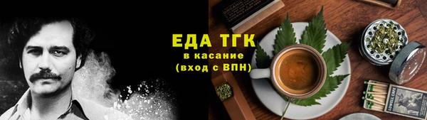 индика Бородино