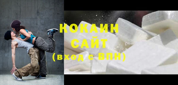индика Бородино