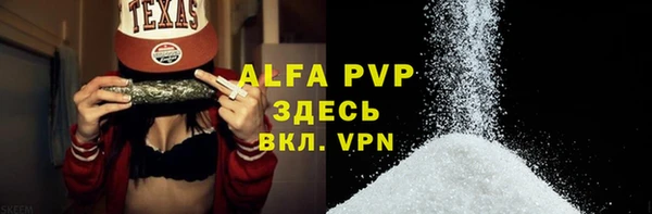 прущие грибы Бронницы