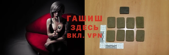 прущие грибы Бронницы