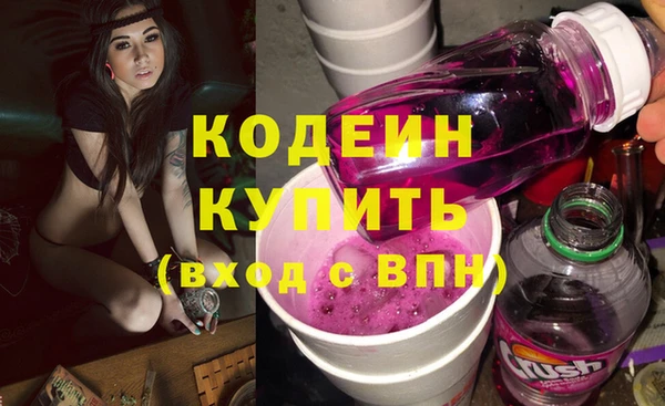прущие грибы Бронницы