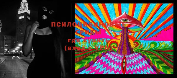 индика Бородино