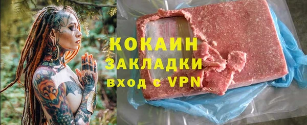 индика Бородино