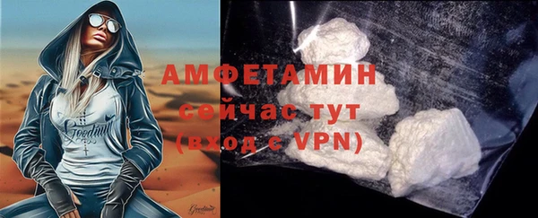 индика Бородино