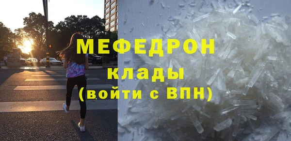 индика Бородино