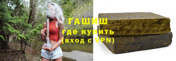 индика Бородино