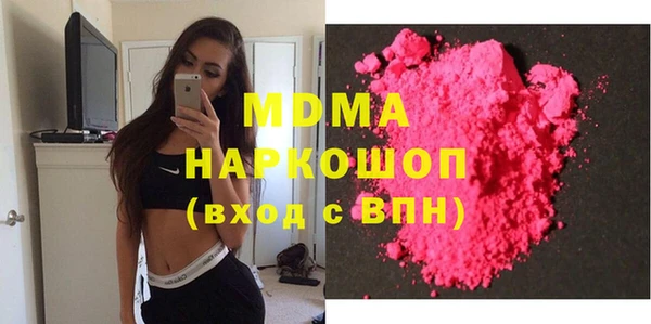 индика Бородино