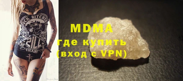индика Бородино