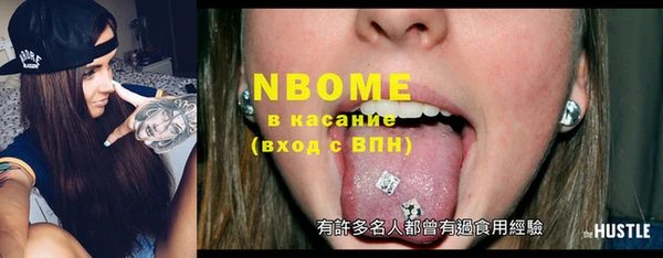 индика Бородино