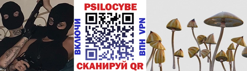 Купить где  Кириллов  Псилоцибиновые грибы Cubensis 