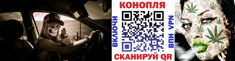 Купить  Кириллов  Каннабис ГИДРОПОН 